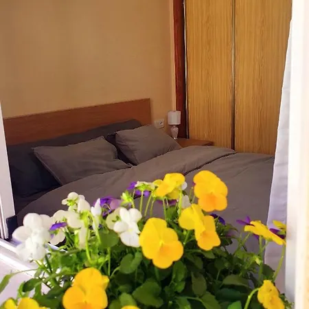 Isamar Apartamento Playa Del Cura Torrevieja Exterior photo