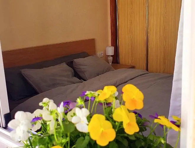 Isamar Apartamento Playa Del Cura